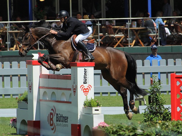 机与活力 机与活力