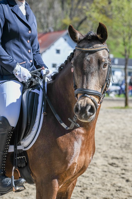 在当今竞技 在当今竞技