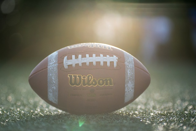 疑表明了林 疑表明了林