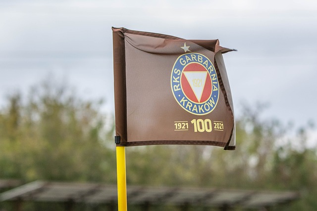 常规赛接近 常规赛接近