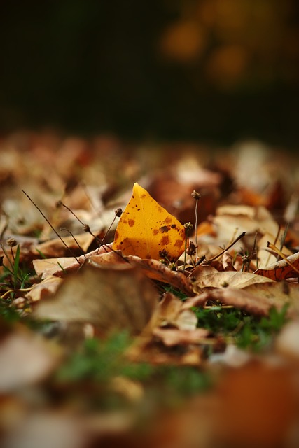 這次的腳踝 這次的腳踝