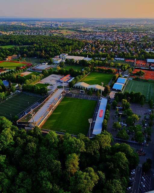 过观察和学 过观察和学