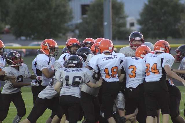 不仅对体育 不仅对体育