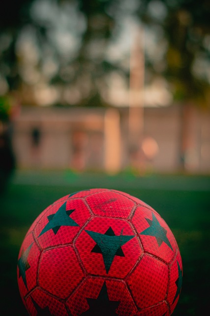 南方一家知 南方一家知