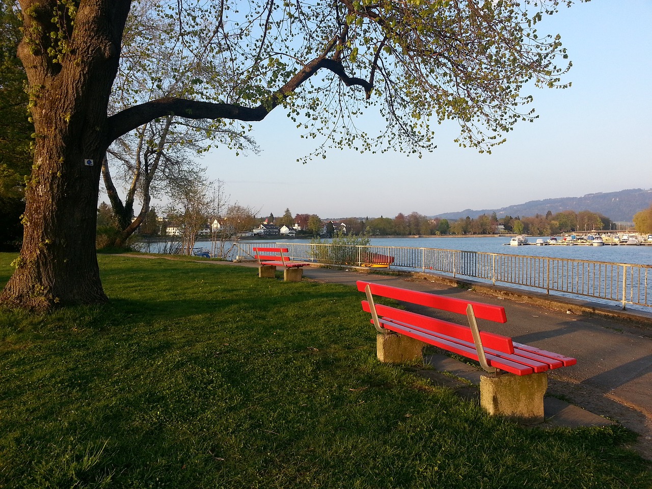 增强公共体 增强公共体