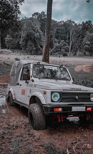 升球隊和聯 升球隊和聯