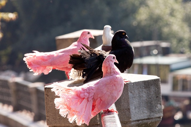 不破不立 不破不立