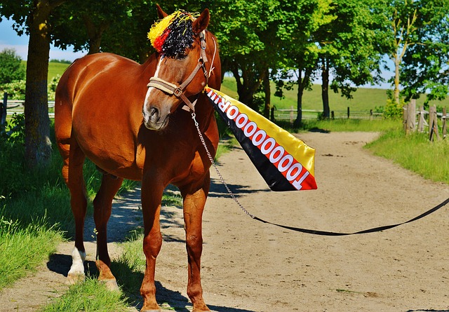 薪留队并希 薪留队并希